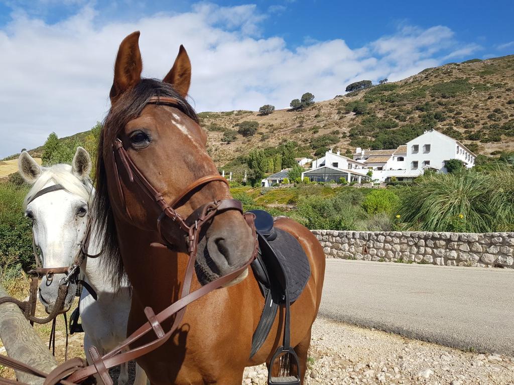 Hotel Fuente Del Sol Αντεκέρα Εξωτερικό φωτογραφία